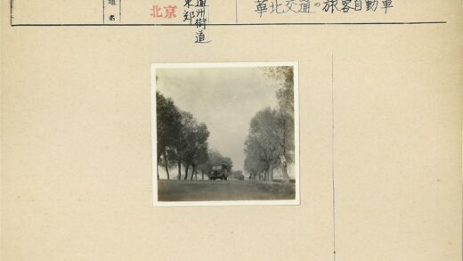 多云天空下林荫道行驶的公交车.jpg