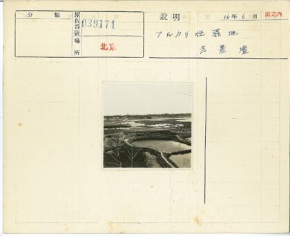 多云天空下水域与枯树草地.jpg