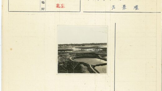 多云天空下水域与枯树草地.jpg