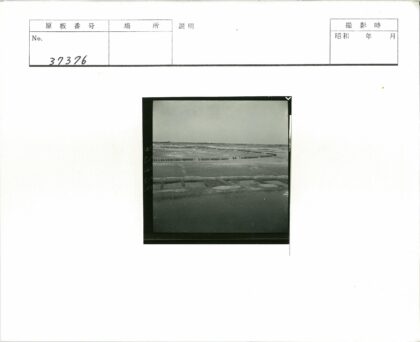 多云天空下沟渠水体与马队景观.jpg