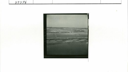 多云天空下沟渠水体与马队景观.jpg