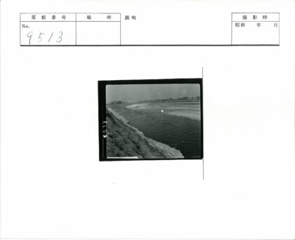 多云天空下河流与树岸线.jpg
