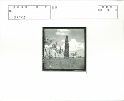 多云天空下田野宝塔.jpg