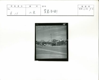 多云天空下的林荫道路.jpg