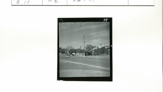 多云天空下的林荫道路.jpg