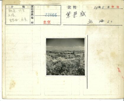 多云天空下的树影与建筑.jpg