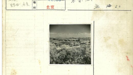 多云天空下的树影与建筑.jpg