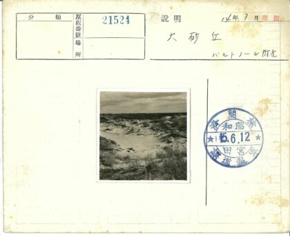 多云天空下的沙丘景观.jpg