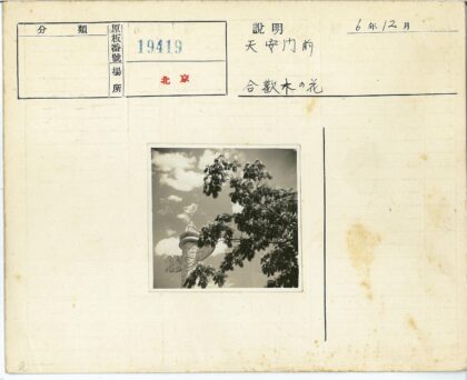 多云天空下的石柱与树枝.jpg