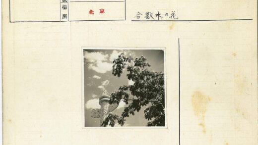 多云天空下的石柱与树枝.jpg