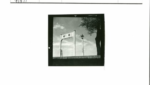 多云天空下的路标与树.jpg