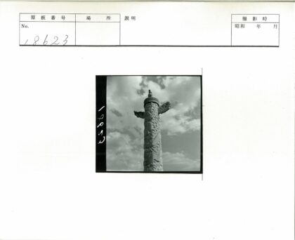 多云天空下石柱龙雕.jpg