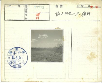多云天空下稀疏树林人群.jpg