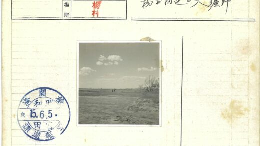 多云天空下稀疏树林人群.jpg