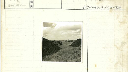 多云天空下马车穿行材料堆.jpg