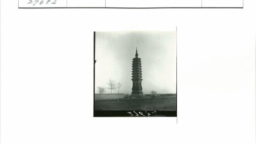 多云天空下高塔与枯树远景.jpg