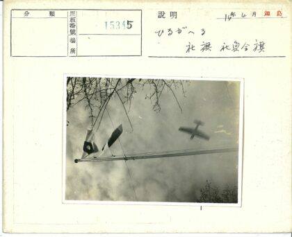 多云天空飞机飞越旗杆树枝.jpg