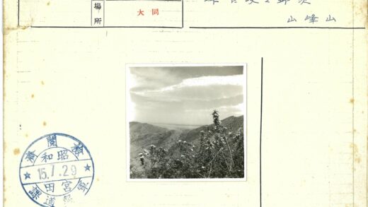多云山景花灌木.jpg