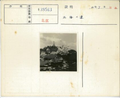 多云山景荷花宝塔远眺.jpg