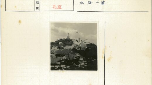 多云山景荷花宝塔远眺.jpg