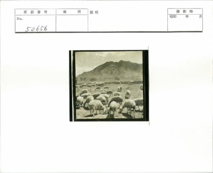 多云山野牧羊图.jpg
