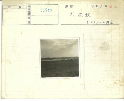 多云旷野羊群远山.jpg