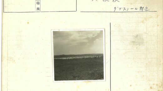 多云旷野羊群远山.jpg
