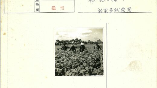 多云田野劳作植物树木.jpg