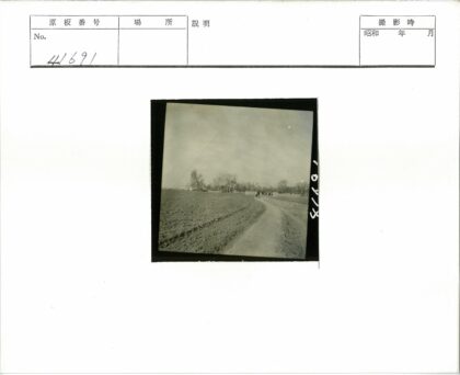 多云田野土路冬树景色.jpg