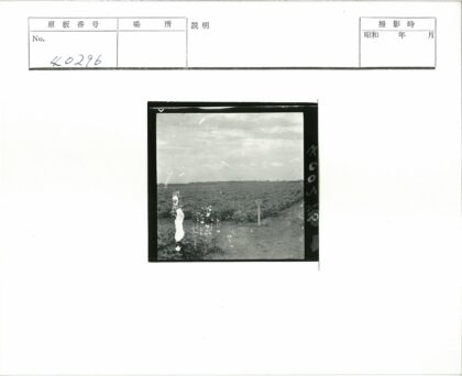 多云田野庄稼路标.jpg