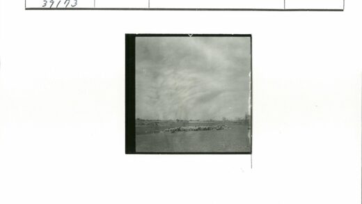 多云田野羊群远树建筑.jpg