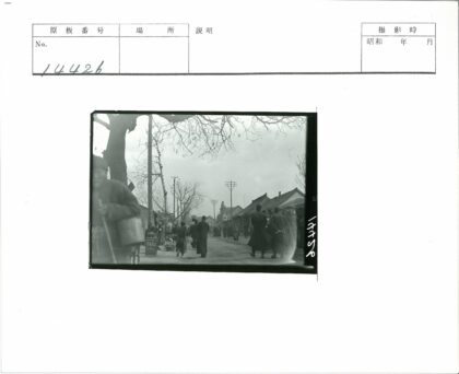 多云街景行人商店树木电线杆.jpg