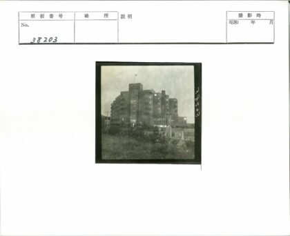多层建筑旗帜草地灌木丛.jpg