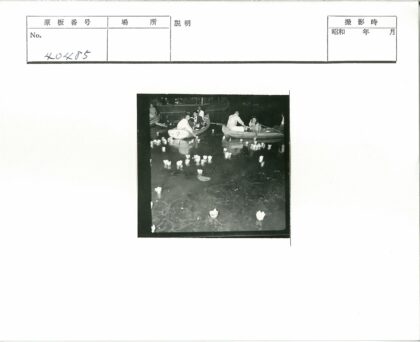 夜晚小船莲花烛光.jpg