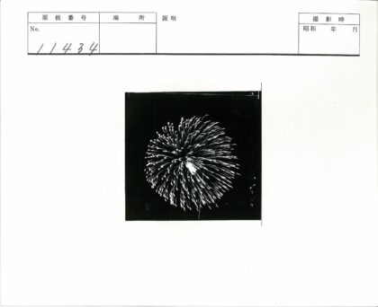 夜空绽放的烟花.jpg