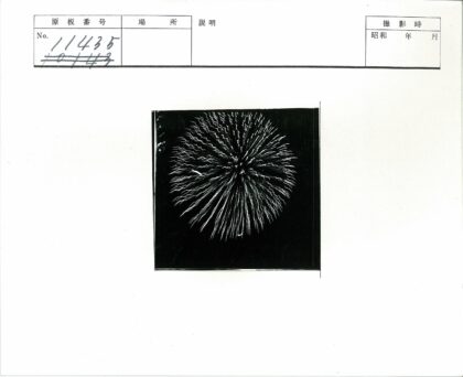 夜空能量闪光抽象摄影.jpg