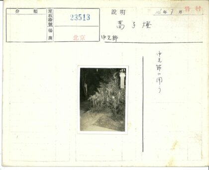 夜间装饰灌木与植物景观.jpg
