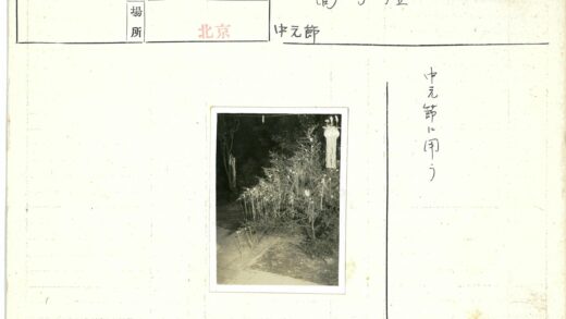 夜间装饰灌木与植物景观.jpg