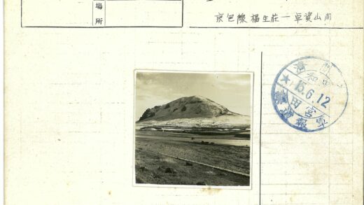 大圆山丘河岸动物景观.jpg