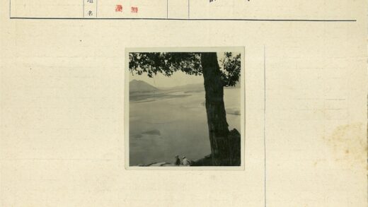 大树下俯瞰山水风光.jpg
