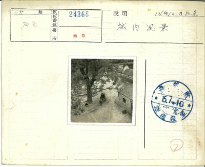大树下马车与人的宁静街景.jpg