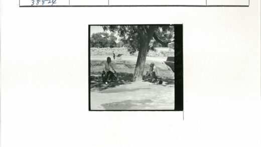 大树下马车与石墙.jpg