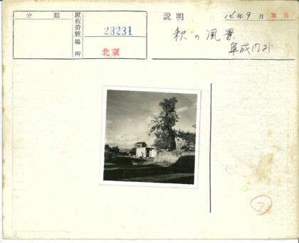 大树与宝塔远眺云天下景.jpg