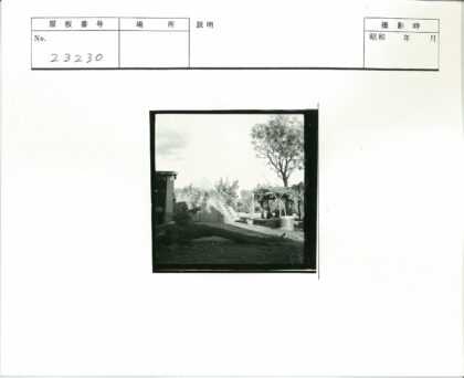 大树原木茅草盆栽景观.jpg