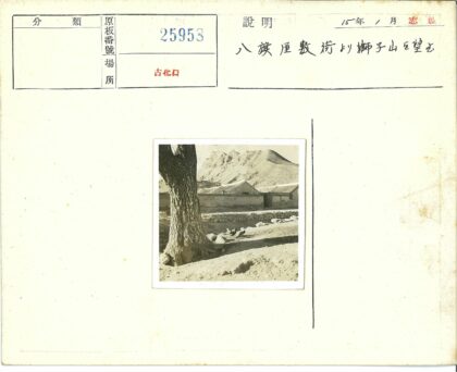 大树院落鸡群石墙远山建筑.jpg