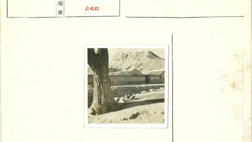 大树院落鸡群石墙远山建筑.jpg