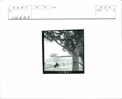 夫妇大树下历史建筑水畔长椅.jpg