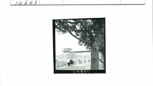 夫妇大树下历史建筑水畔长椅.jpg