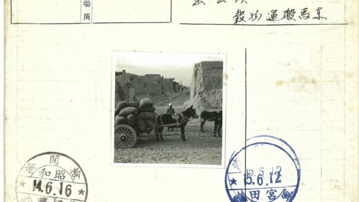 头巾人牵马穿行沙街.jpg