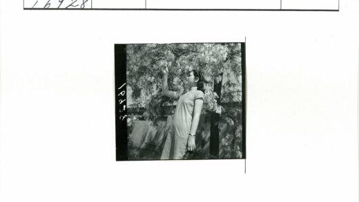 女士户外赏花.jpg